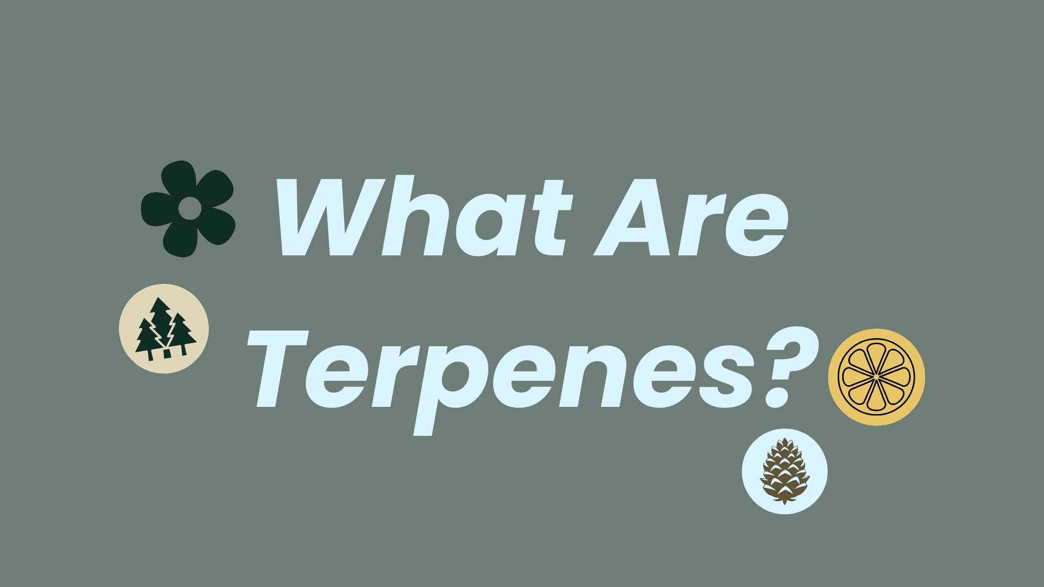 Terpenes, a smarter way to shop for cannabis